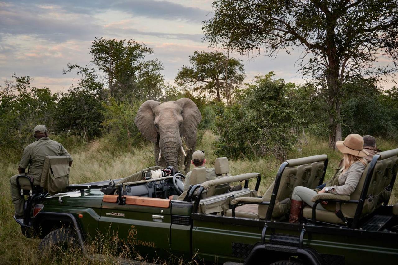 Villa Royal Malewane à Domaine de chasse de Thornybush Extérieur photo
